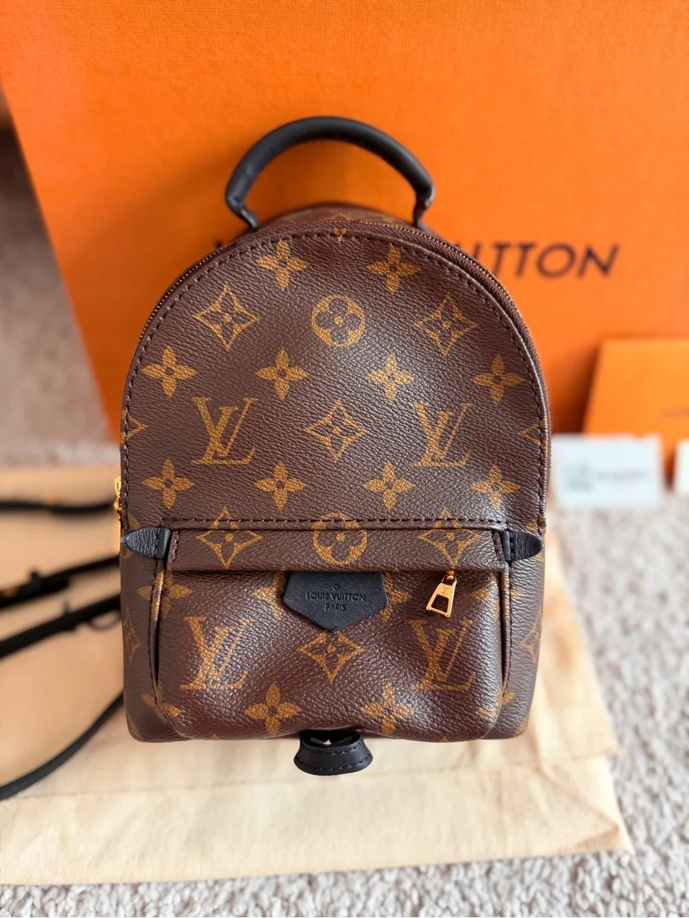 Louis Vuitton Palm Springs Mini